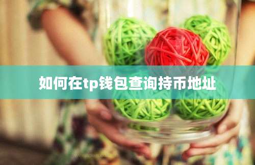 如何在tp钱包查询持币地址