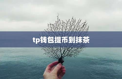 tp钱包提币到抹茶