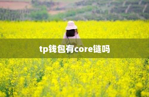 tp钱包有core链吗