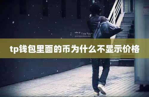tp钱包里面的币为什么不显示价格