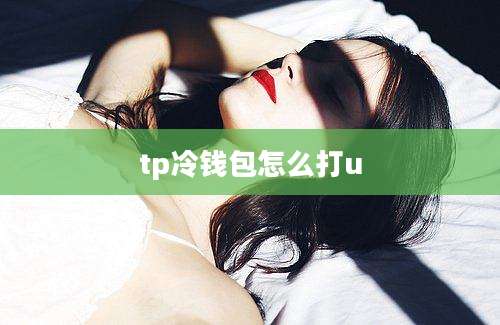 tp冷钱包怎么打u