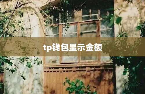 tp钱包显示金额