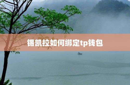 锡凯拉如何绑定tp钱包