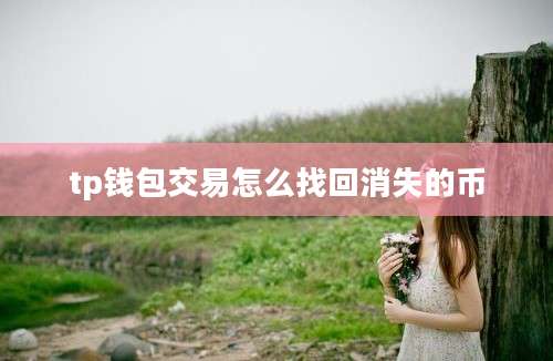 tp钱包交易怎么找回消失的币