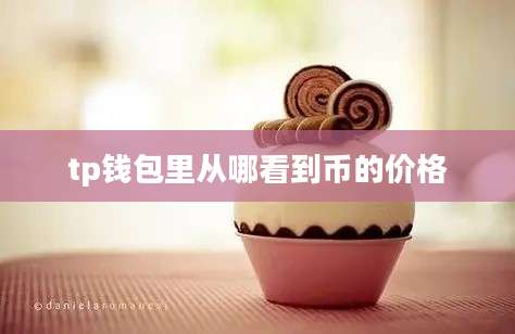 tp钱包里从哪看到币的价格