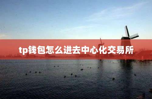 tp钱包怎么进去中心化交易所