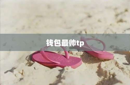 钱包最帅tp