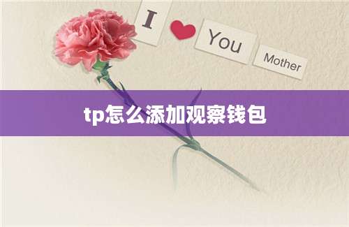 tp怎么添加观察钱包