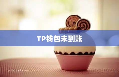 TP钱包未到账