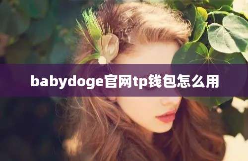 babydoge官网tp钱包怎么用
