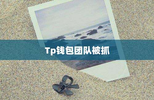 Tp钱包团队被抓