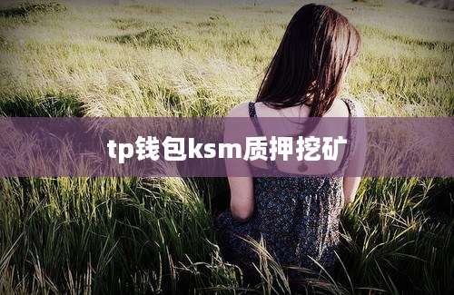 tp钱包ksm质押挖矿