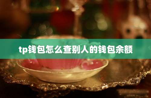 tp钱包怎么查别人的钱包余额