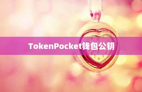 TokenPocket钱包公钥