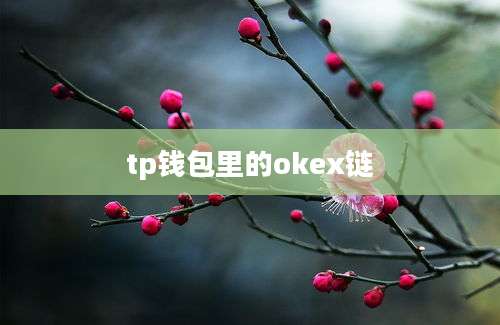 tp钱包里的okex链