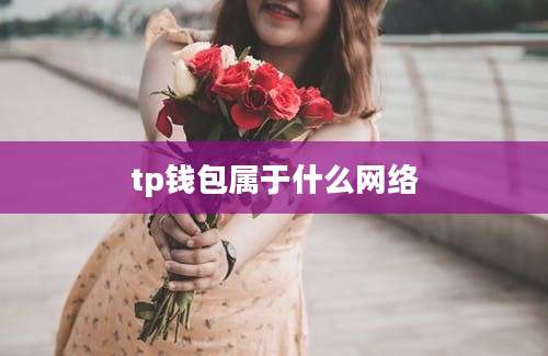 tp钱包属于什么网络