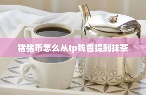 猪猪币怎么从tp钱包提到抹茶