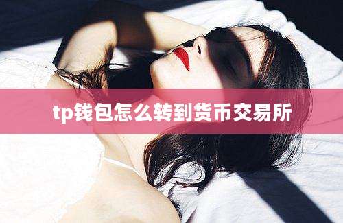 tp钱包怎么转到货币交易所