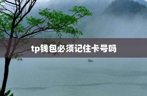 tp钱包必须记住卡号吗