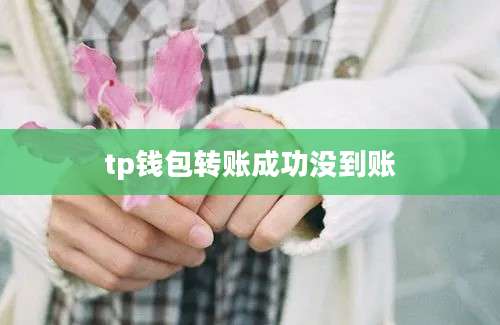tp钱包转账成功没到账