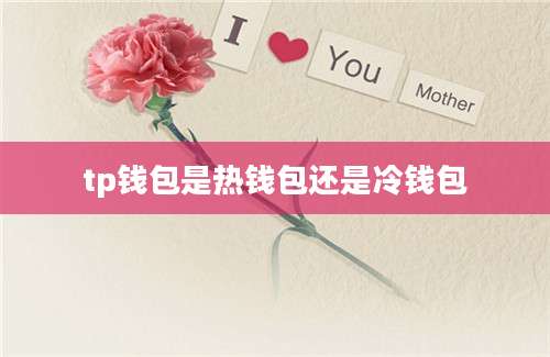 tp钱包是热钱包还是冷钱包