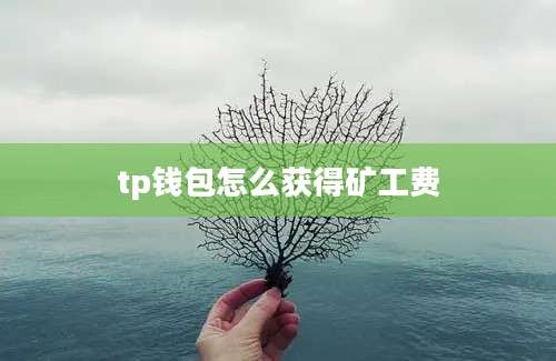 tp钱包怎么获得矿工费