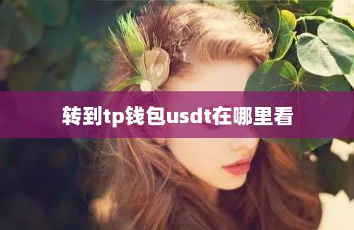 转到tp钱包usdt在哪里看