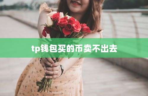 tp钱包买的币卖不出去