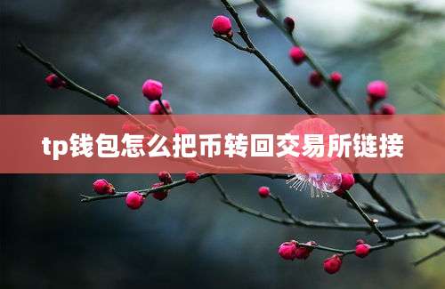 tp钱包怎么把币转回交易所链接