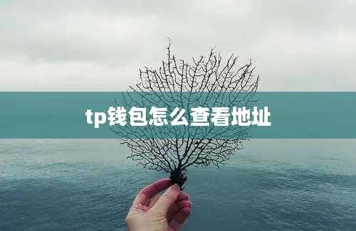 tp钱包怎么查看地址