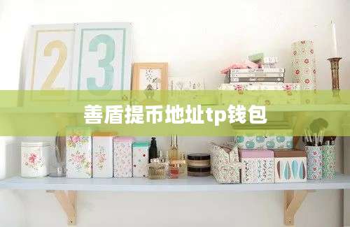 善盾提币地址tp钱包