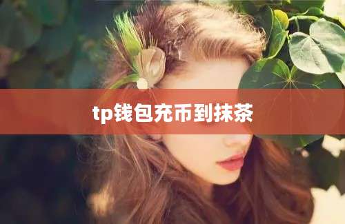 tp钱包充币到抹茶
