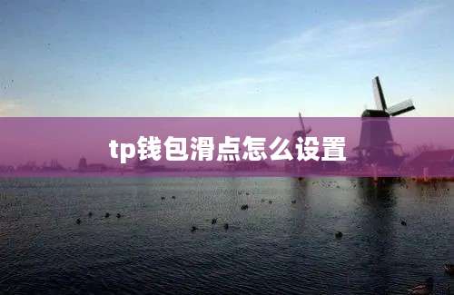 tp钱包滑点怎么设置
