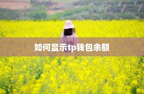 如何显示tp钱包余额