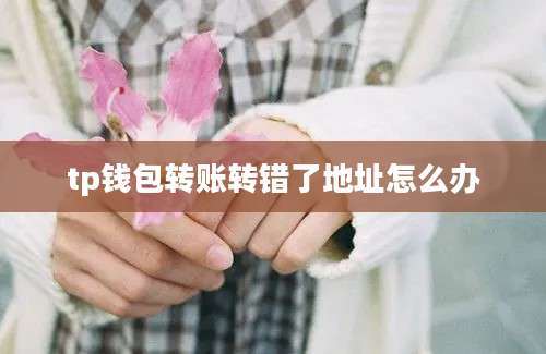 tp钱包转账转错了地址怎么办