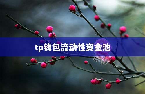 tp钱包流动性资金池