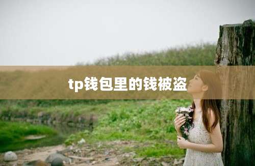 tp钱包里的钱被盗