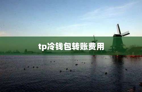 tp冷钱包转账费用