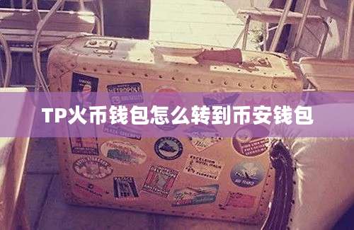 TP火币钱包怎么转到币安钱包