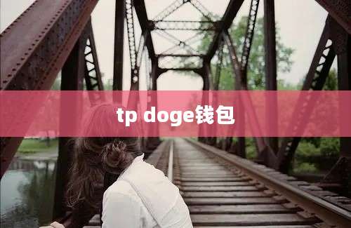 tp doge钱包