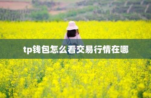 tp钱包怎么看交易行情在哪