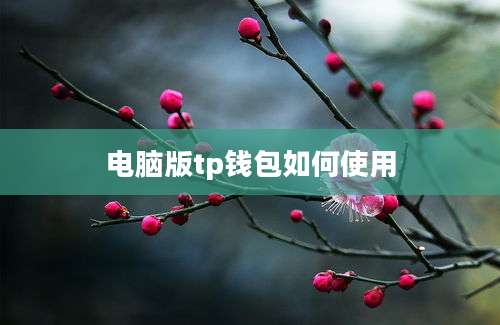 电脑版tp钱包如何使用