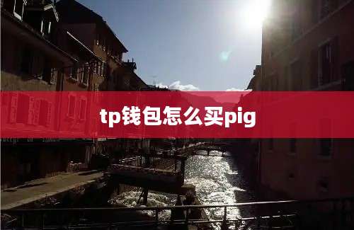 tp钱包怎么买pig