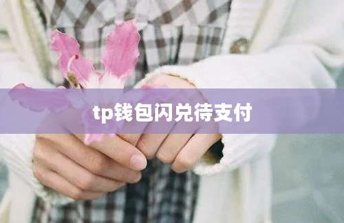 tp钱包闪兑待支付