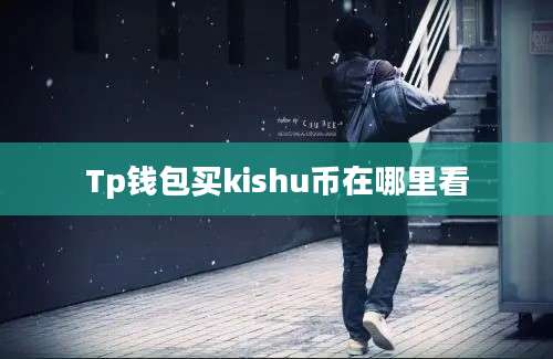Tp钱包买kishu币在哪里看