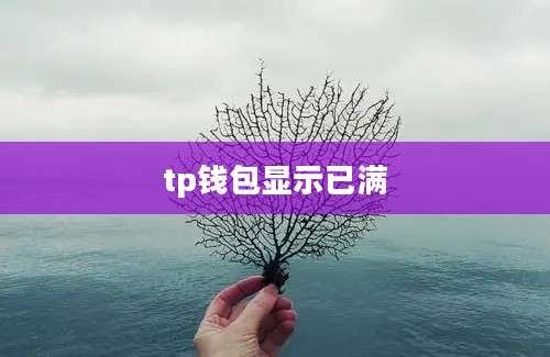tp钱包显示已满