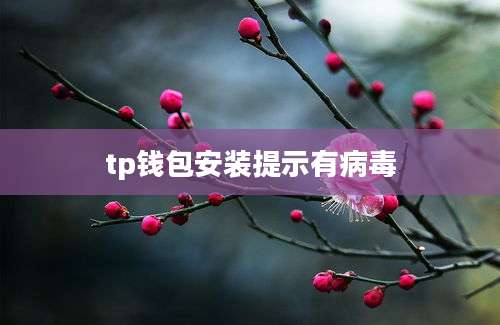 tp钱包安装提示有病毒