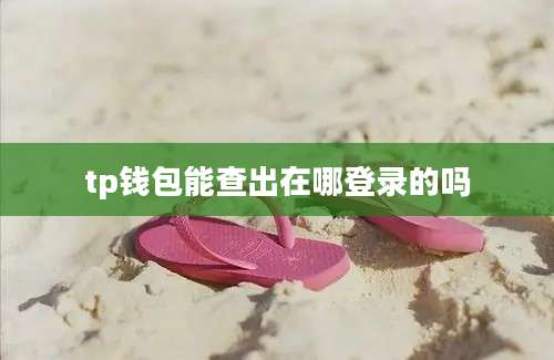 tp钱包能查出在哪登录的吗