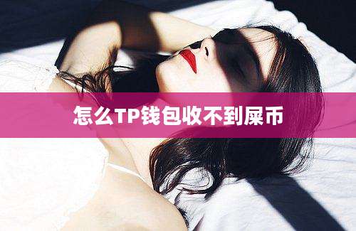 怎么TP钱包收不到屎币