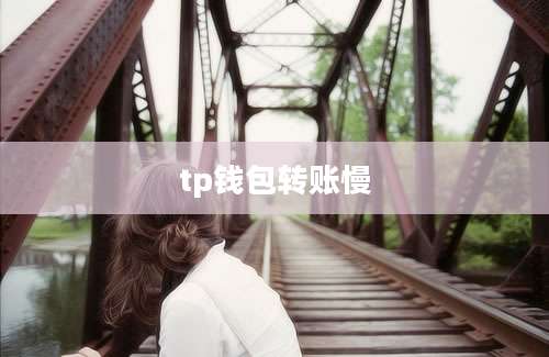 tp钱包转账慢